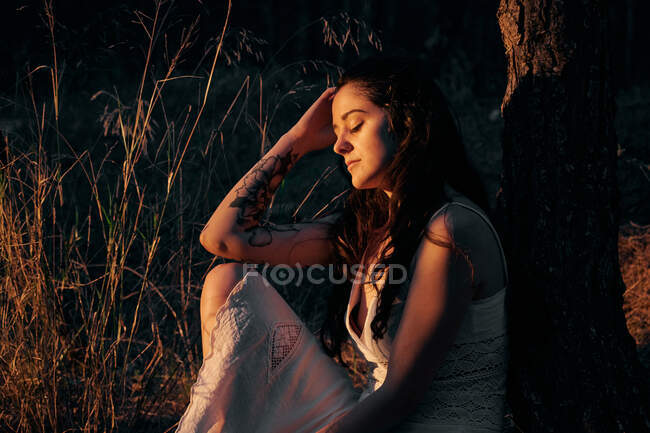Спокійна жінка у білій сукні сидить у стовбурі дерев у темних лісах, де тихо й спокійно світить сонце. — стокове фото