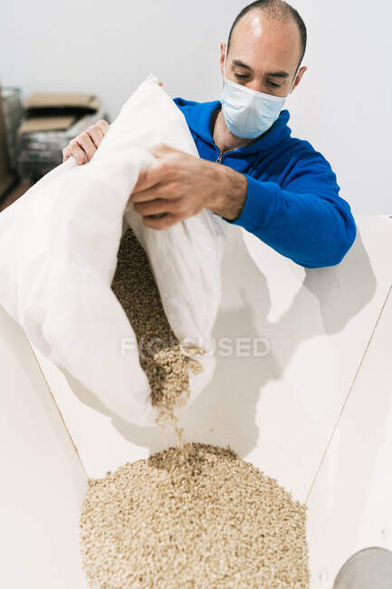 Мужчина-инженер в одноразовой маске наливает зерно из мешка в фрезерный бак на пивной фабрике — стоковое фото