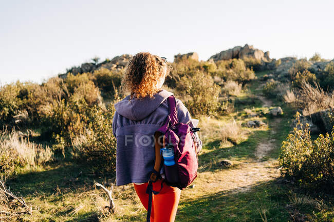 Обратный вид на неузнаваемую женщину-исследователя в повседневной одежде, читающую карту во время прогулки по склону горы в солнечный день — стоковое фото