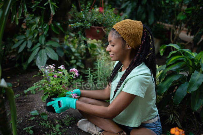 Vista lateral de hippie hembra negra con rastas jardinero sentado en invernadero y plantando flores en macetas de cerámica - foto de stock