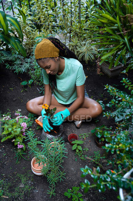 Dall'alto del giardiniere nero sorridente seduto a terra in serra e trapiantare il fiore di Kalanchoe — Foto stock