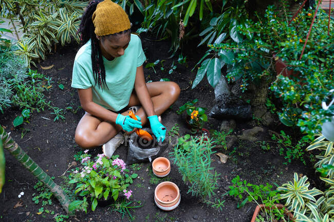 Dall'alto hippie femmina nera con dreadlocks giardiniere seduto in serra e piantare pianta verde in vasi di ceramica — Foto stock