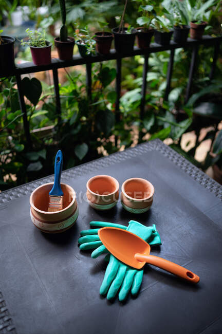 Dall'alto di raccolta di attrezzi da giardinaggio e vasi di ceramica per trapiantare piante messe in tavola in serra — Foto stock