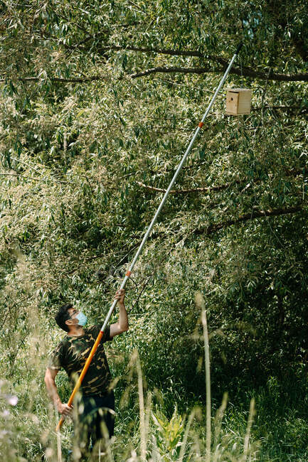Вид сбоку на активиста мужского пола, висящего деревянный скворечник ручной работы на ветке деревьев в летний день в зеленом лесу — стоковое фото
