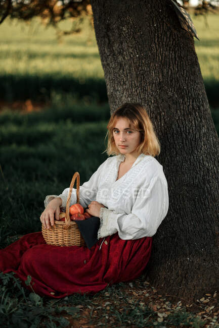 Молода жінка в старомодній білій блузці і спідниці тримає плетений кошик, повний свіжих яблук і дивиться на камеру, відпочиваючи біля дерева в літній день в сільській місцевості — стокове фото