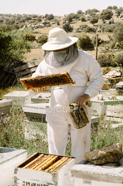 Unbekannter Imker in Schutzuniform mit Metallraucher begutachtet gerahmte Bienenwaben am Sommertag im Bienenhaus — Stockfoto