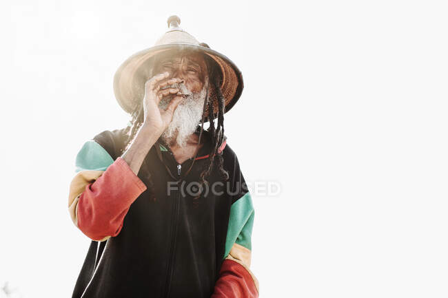 Веселий старий етнічний растафарі з дредлоками, дивлячись на камеру під час куріння бур'янів, що стоять на сухому лузі в природі — стокове фото