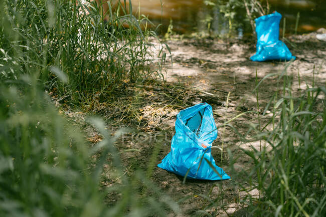 Grands sacs à ordures bleus placés près du lac pendant la campagne de nettoyage des bénévoles environnementaux en été nature — Photo de stock