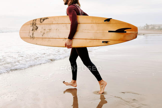 Vista lateral del surfista anónimo recortado vestido con traje de neopreno caminando con tabla de surf hacia el agua para coger una ola en la playa durante el amanecer - foto de stock