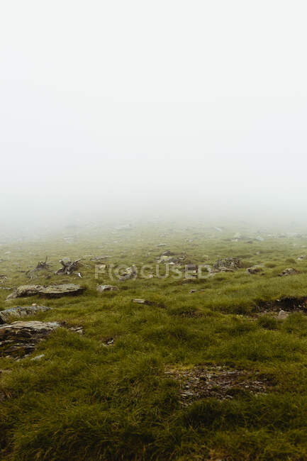 Vue pittoresque du vert poussant sur une colline près d'un pré avec de l'herbe et un ciel nuageux — Photo de stock