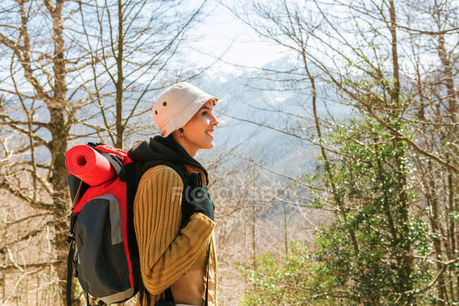 Side view of female backpacker standing in woods in highlands on sunny day — Stock Photo