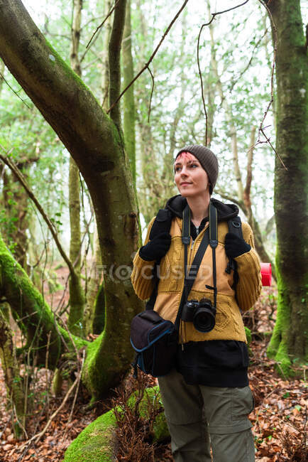 Mulher viajante encantada com mochila e câmera de fotos em pé em bosques verdes e olhando para longe — Fotografia de Stock