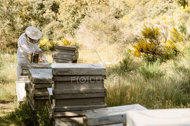 Неузнаваемый пчеловод в защитной одежде, осматривающий деревянные ульи и наливающий жидкость из бутылки в деревянный улей во время работы в летний день на пасеке — стоковое фото