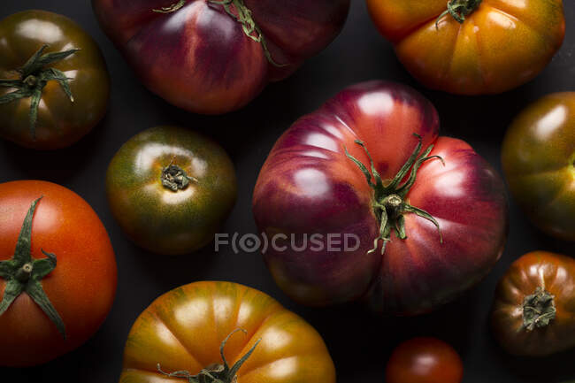 Зверху різні свіжі помідори на чорному столі — стокове фото