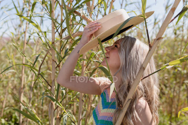 Side view of happy female with wavy hair raising hands with hat standing looking up near cane with green foliage — Stock Photo