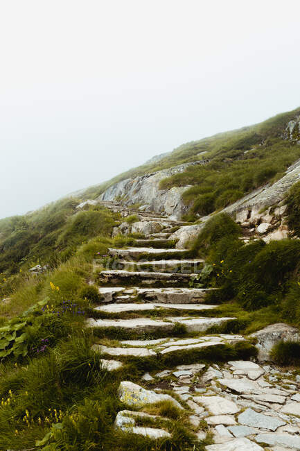 Steps in a hill in a foggy day — Stock Photo