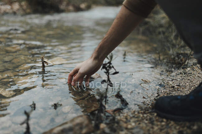 Vista lateral da colheita anônimo viajante masculino colocando a mão em água limpa de riacho raso enquanto descansa depois de caminhar na natureza — Fotografia de Stock