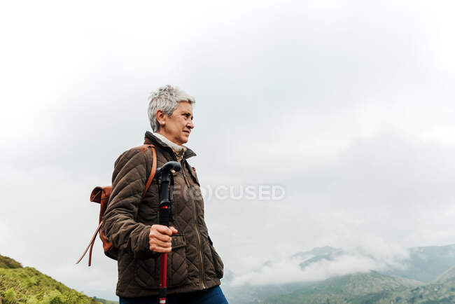 Вид на літню жінку з рюкзаком, що тримає пішохідну палицю і стоїть на трав'янистих схилах до гірського піку під час подорожі на природі — стокове фото