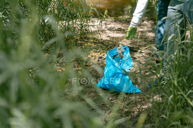Cultivo activista anónimo en guantes de protección poniendo basura en la bolsa de basura grande mientras se limpia la orilla del río en la naturaleza de verano - foto de stock