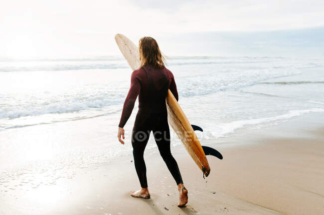 Вид збоку на анонімного серфера, одягненого в гідрокостюм, що йде з дошкою для серфінгу до води, щоб зловити хвилю на пляжі під час сходу сонця — стокове фото