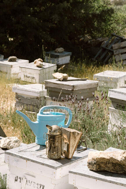 Old metal smoker and plastic watering can placed on beehive box in apiary in summer day — Stock Photo