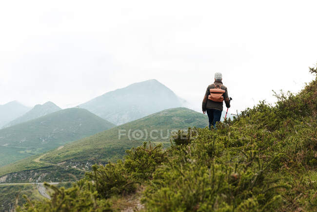 Visão traseira da mulher idosa anônima com mochila e bengala andando na encosta gramada em direção ao pico da montanha durante a viagem na natureza — Fotografia de Stock