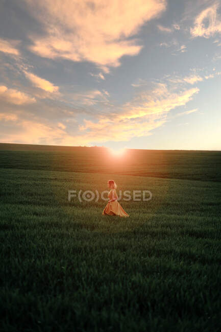Jeune femme en robe vintage regardant loin en marchant seul dans un champ herbeux au coucher du soleil en soirée d'été à la campagne — Photo de stock