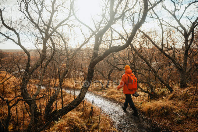 Visão traseira do jovem turista com mochila indo na passarela entre madeiras secas na colina — Fotografia de Stock