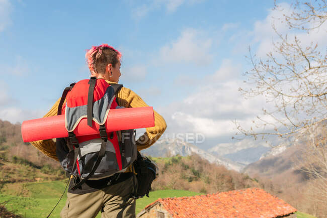 Visão traseira de viajante feminino pensativo com mochila em pé nas montanhas olhando para longe — Fotografia de Stock