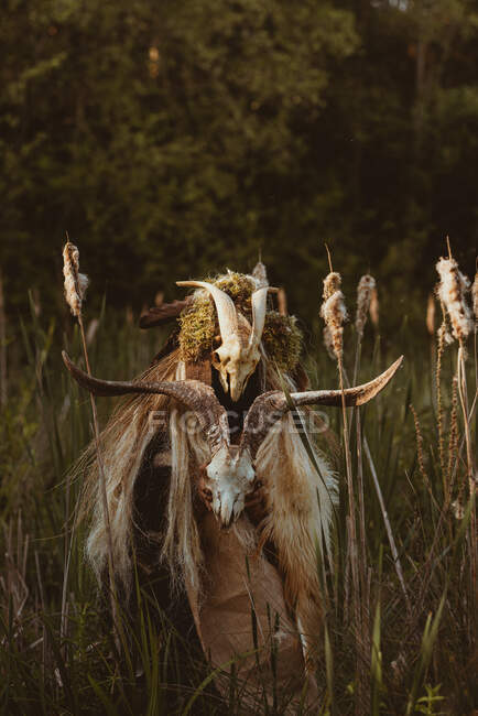 Xamã invocando os espíritos em uma cerimônia em uma floresta — Fotografia de Stock