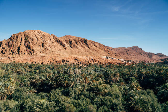 Edifícios de pedra velhos na inclinação de montanhas grandes coloridas entre plantas verdes com céu azul claro no fundo em Marrocos — Fotografia de Stock