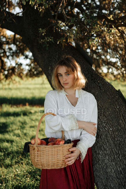 Young female in old fashioned white blouse and skirt holding wicker basket full of fresh apples and looking at camera while resting near tree in summer day in countryside — Stock Photo