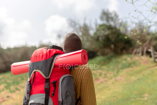 Rückansicht einer anonymen Backpackerin, die im Sommer auf einer Straße im Wald spaziert — Stockfoto