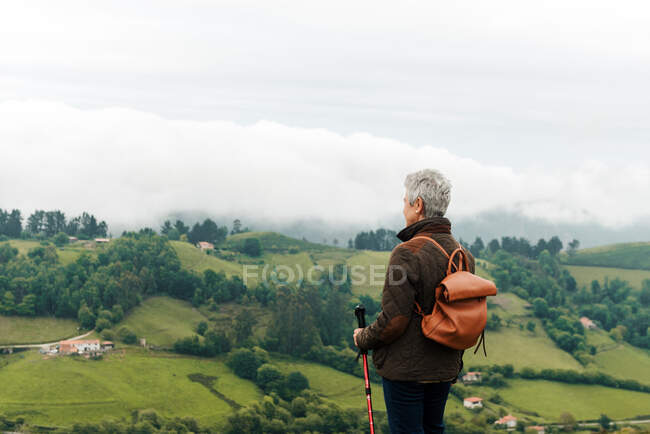 Back view of anonymous elderly woman with backpack and trekking stick standing on grassy slope towards mountain peak during trip in nature — Stock Photo