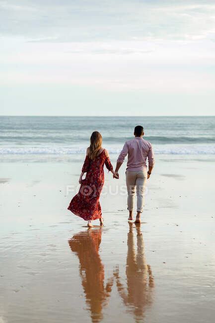 Vista trasera pareja multirracial cogida de la mano y caminando a lo largo de la orilla húmeda mientras admira el mar al atardecer en verano - foto de stock