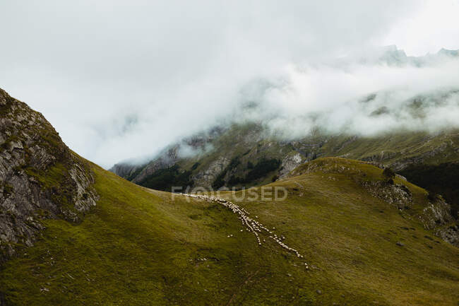 Pittoresca vista della collina vicino al prato con erba e cielo nuvoloso — Foto stock