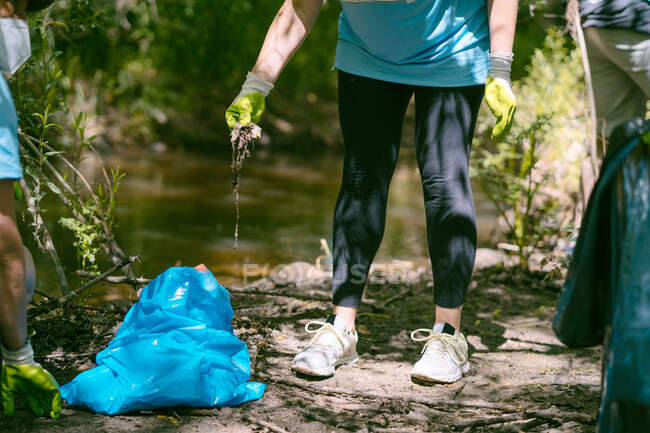 Ковзаний анонімний волонтер в захисних рукавицях збирає сміття з берега річки під час збору з друзями влітку. — стокове фото