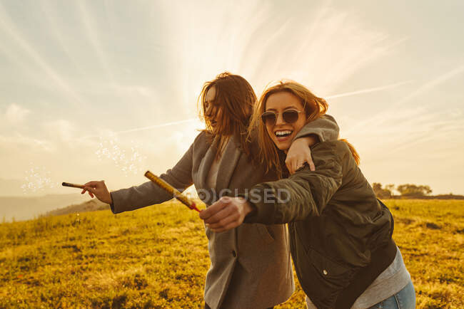 Веселі самиці з блискучими свічками обіймаються на лузі в горах, розважаючись на заході сонця — стокове фото