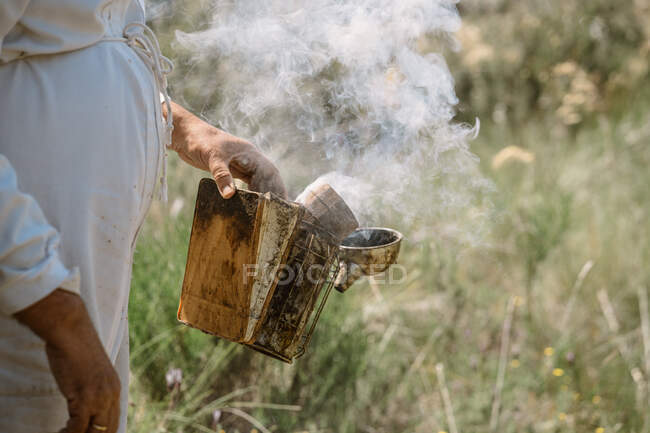Récolté apiculteur méconnaissable en uniforme de protection et chapeau en utilisant fumeur tout en vérifiant les abeilles dans le rucher dans la journée d'été — Photo de stock