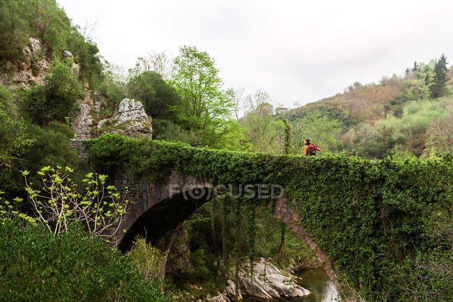Explorador anônimo caminhando ao longo da ponte de pedra coberta com plantas verdes nas terras altas no dia nublado — Fotografia de Stock