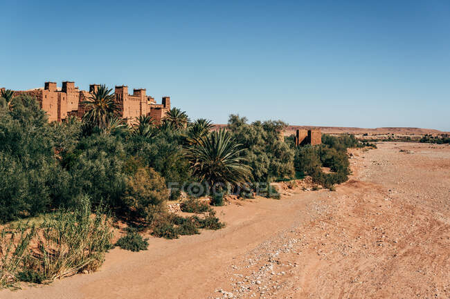 Antichi edifici di pietra marrone tra verdi piante tropicali e deserto con cielo azzurro su sfondo in Marocco — Foto stock