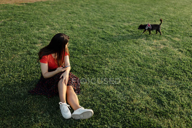 Feminino proprietário sentado no gramado verde com cão adorável enquanto passar fim de semana juntos no parque de verão à noite — Fotografia de Stock