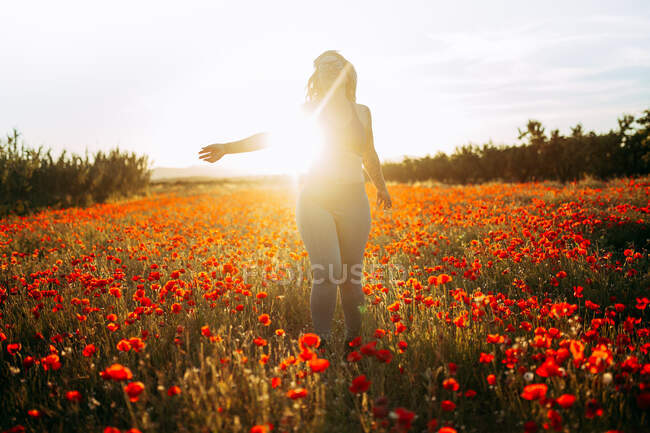 Glückliche Frau steht auf Feld mit roten Blumen an sonnigem Tag — Stockfoto