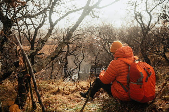 Back view of young tourist with backpack sitting between dry woods on hill looking photos in his camera — Stock Photo