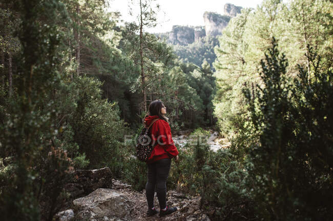 Junge Touristin mit Rucksack steht über Wasser in der Nähe von Steinmauer zwischen Wald — Stockfoto