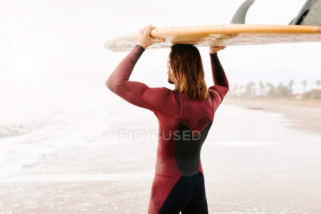 Vista lateral del joven surfista irreconocible con el pelo largo vestido con traje de neopreno de pie mirando hacia la playa con la tabla de surf en la cabeza durante el amanecer - foto de stock