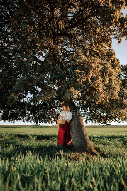 Joven hembra en blusa blanca a la antigua y falda sosteniendo canasta de mimbre llena de manzanas frescas mientras descansa cerca del árbol en el día de verano en el campo - foto de stock