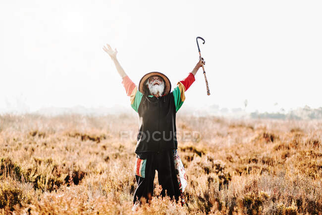 Vieux rastafari ethnique joyeux avec dreadlocks levant les yeux célébrant la victoire tout en se tenant dans une prairie sèche dans la nature — Photo de stock