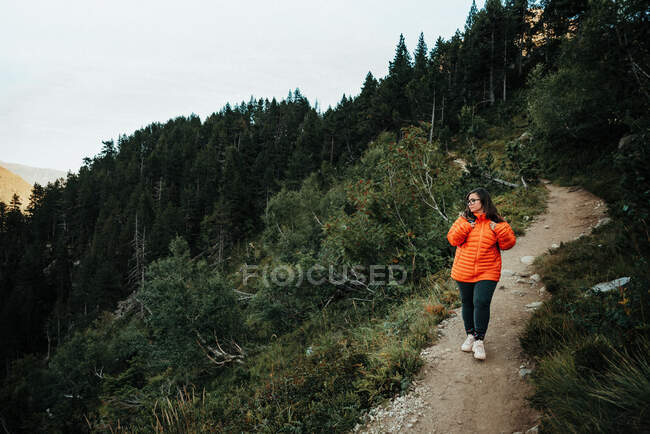 Junger Tourist mit Brille geht auf Fußweg zwischen Pflanzen in der Nähe eines hohen Steinhügels und blauem Himmel — Stockfoto