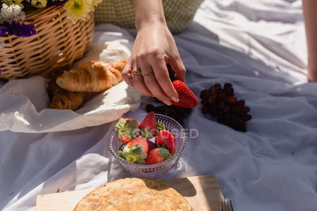 High angle of crop female with ripe strawberry having picnic with croissant and grapes with focaccia — Stock Photo
